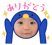845907453