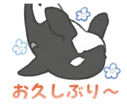 845907540