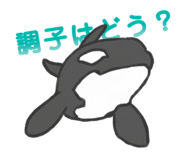845907541