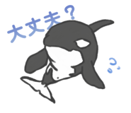 845907542