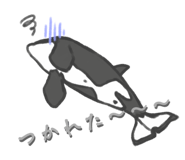 845907543