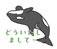 845907552