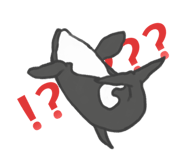 845907561