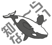 845907562
