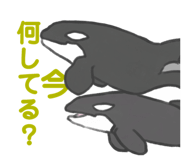 845907564