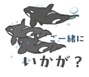 845907565
