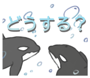 845907566