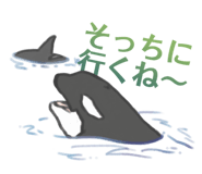 845907571