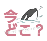 845907573