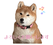 845907625