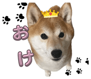845907630