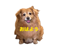845907993
