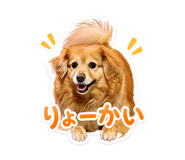 845907995