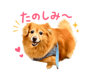845907998