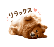 845907999