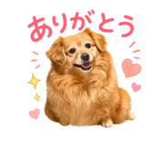 845908000