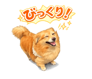 845908006