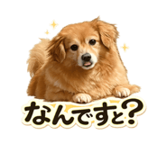 845908007