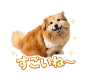 845908008