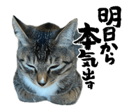 845908010