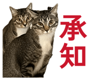 845908019