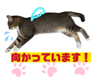 845908021