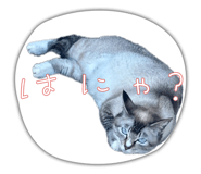 845908025