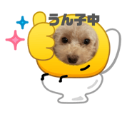 845908073