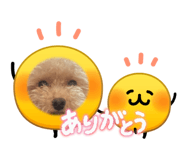 845908076