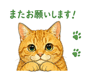 845909704