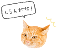 845910353