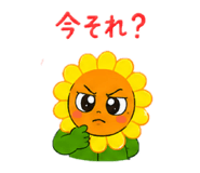 845928865