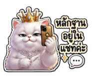 845930508