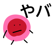 845937642