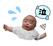 845938356