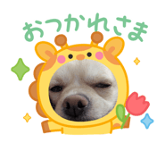 845939024