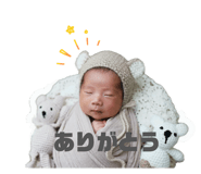 845939055