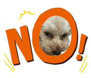 845939077