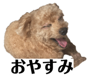 845939601