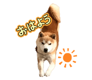 845939714