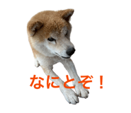 845939715