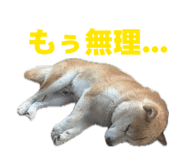 845939722