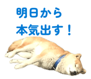 845939730