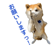 845939731