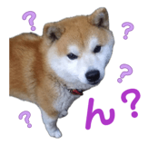 845939735