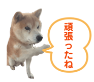 845939736