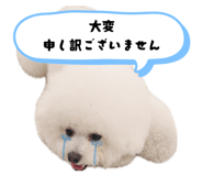 845939808