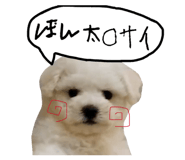 845939815