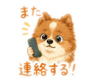 845941142