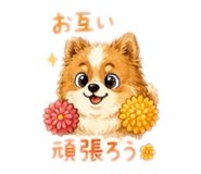 845941144